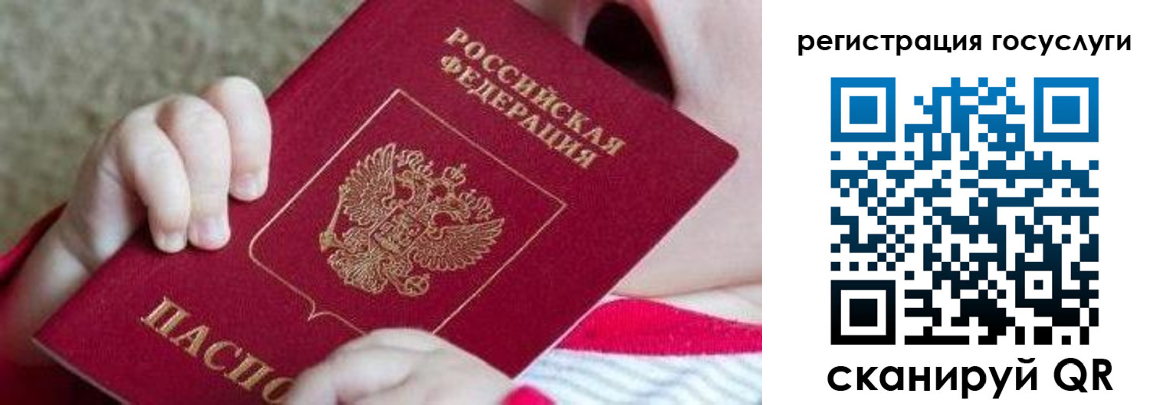 временная регистрация для всех в Мурманской области